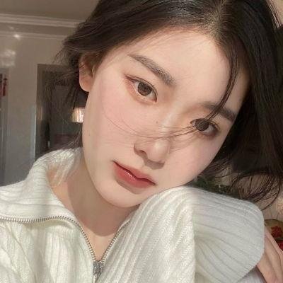 大明星醒目狗